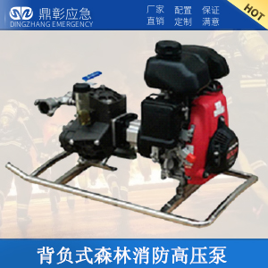 背負(fù)式森林消防高壓泵