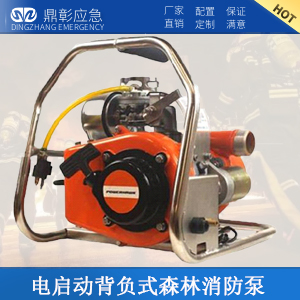 電啟動(dòng)背負(fù)式森林消防泵
