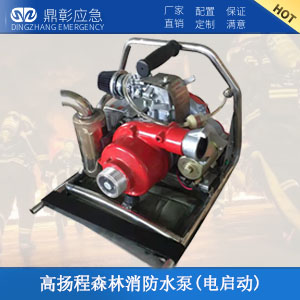 高揚(yáng)程森林消防水泵